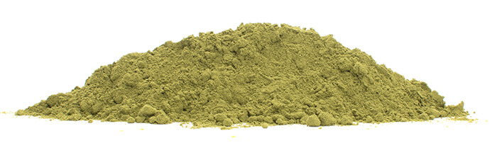 Moringa prášek BIO detail Vital Country